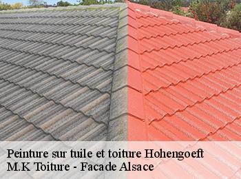 Peinture sur tuile et toiture