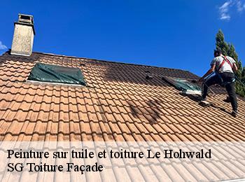 Peinture sur tuile et toiture  67140