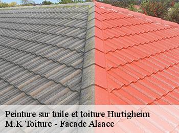 Peinture sur tuile et toiture