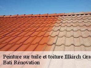 Peinture sur tuile et toiture illkirch-graffenstaden-67400 Bati Rénovation