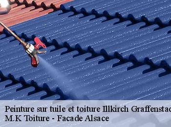 Peinture sur tuile et toiture  illkirch-graffenstaden-67400 M.K Toiture - Facade Alsace