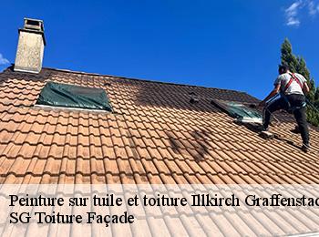 Peinture sur tuile et toiture 67400
