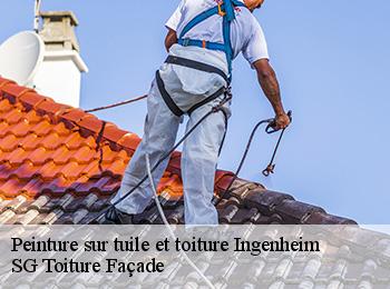 Peinture sur tuile et toiture