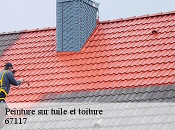 Peinture sur tuile et toiture 67117