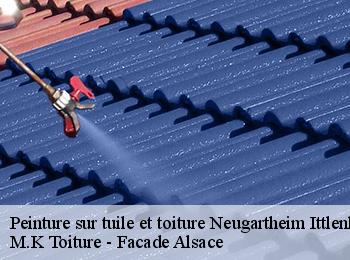 Peinture sur tuile et toiture  neugartheim-ittlenheim-67370 M.K Toiture - Facade Alsace