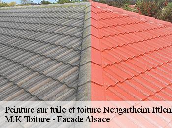 Peinture sur tuile et toiture