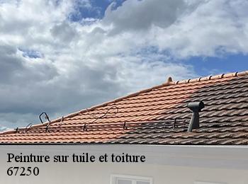 Peinture sur tuile et toiture