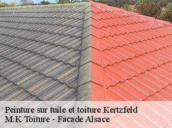 Peinture sur tuile et toiture