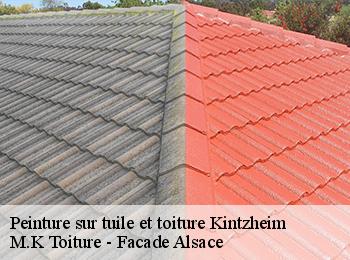 Peinture sur tuile et toiture
