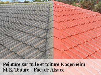 Peinture sur tuile et toiture