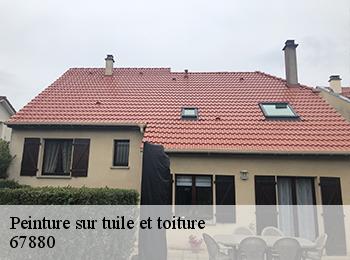 Peinture sur tuile et toiture