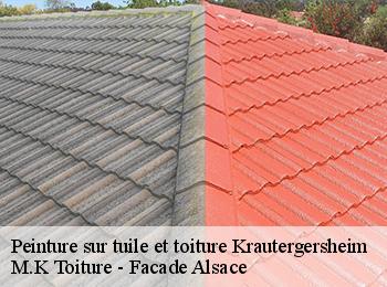 Peinture sur tuile et toiture