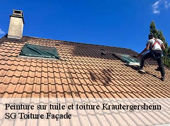 Peinture sur tuile et toiture 67880