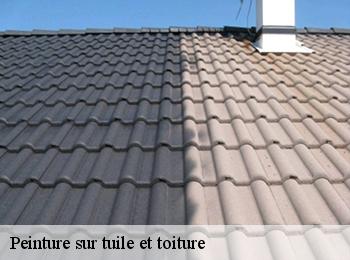 Peinture sur tuile et toiture