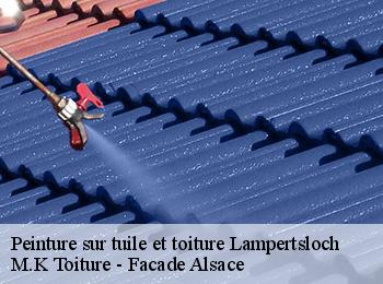 Peinture sur tuile et toiture  lampertsloch-67250 M.K Toiture - Facade Alsace