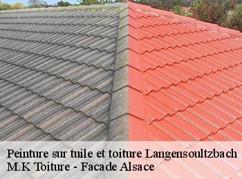 Peinture sur tuile et toiture