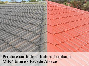 Peinture sur tuile et toiture
