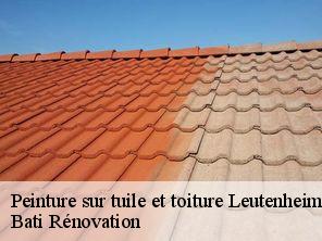 Peinture sur tuile et toiture  leutenheim-67480 Bati Rénovation
