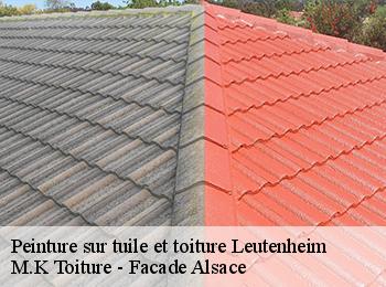 Peinture sur tuile et toiture