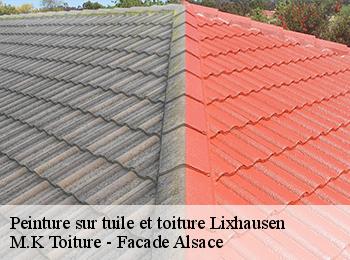 Peinture sur tuile et toiture