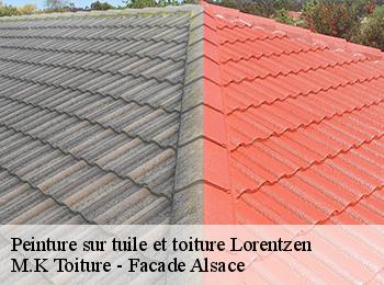 Peinture sur tuile et toiture
