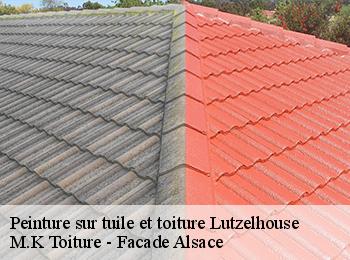 Peinture sur tuile et toiture