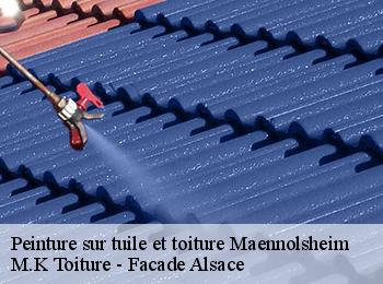 Peinture sur tuile et toiture  maennolsheim-67700 M.K Toiture - Facade Alsace