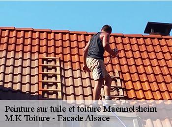 Peinture sur tuile et toiture  67700