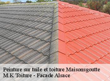 Peinture sur tuile et toiture