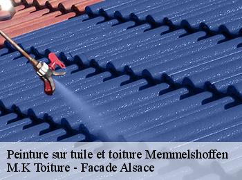 Peinture sur tuile et toiture memmelshoffen-67250 M.K Toiture - Facade Alsace