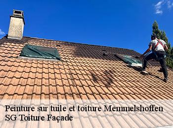 Peinture sur tuile et toiture  67250