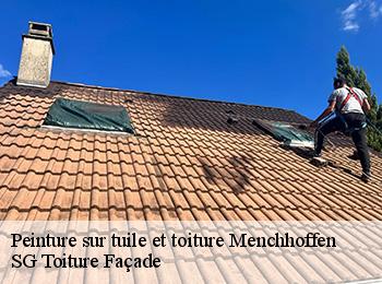 Peinture sur tuile et toiture  67340