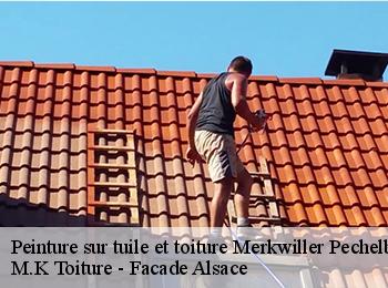 Peinture sur tuile et toiture  67250
