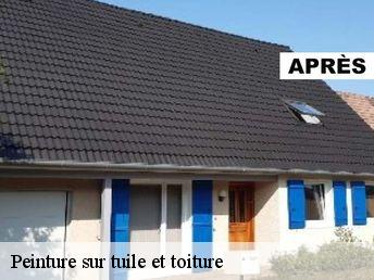 Peinture sur tuile et toiture