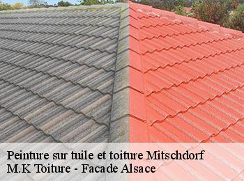 Peinture sur tuile et toiture
