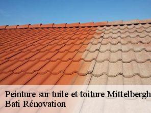 Peinture sur tuile et toiture  mittelbergheim-67140 Bati Rénovation