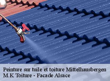 Peinture sur tuile et toiture  mittelhausbergen-67206 M.K Toiture - Facade Alsace