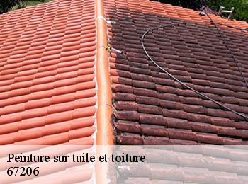 Peinture sur tuile et toiture  67206