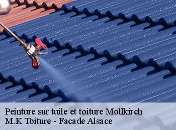 Peinture sur tuile et toiture  mollkirch-67190 M.K Toiture - Facade Alsace
