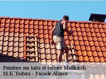 Peinture sur tuile et toiture  67190