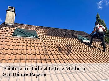 Peinture sur tuile et toiture  67470