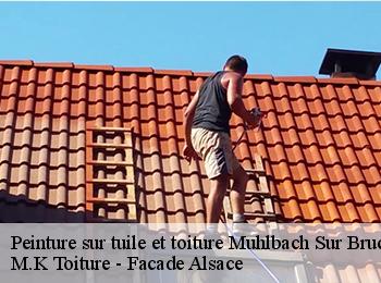 Peinture sur tuile et toiture  67130