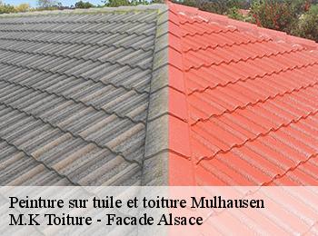 Peinture sur tuile et toiture