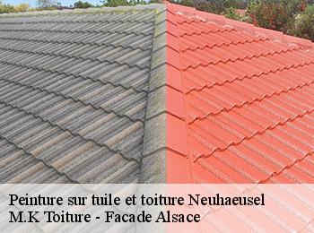 Peinture sur tuile et toiture