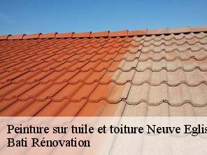 Peinture sur tuile et toiture neuve-eglise-67220 Bati Rénovation