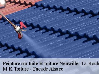 Peinture sur tuile et toiture  neuwiller-la-roche-67130 M.K Toiture - Facade Alsace
