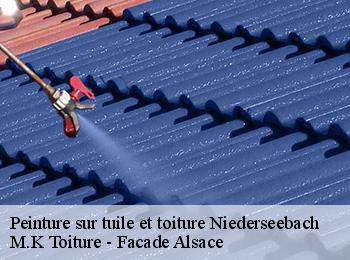 Peinture sur tuile et toiture  niederseebach-67160 M.K Toiture - Facade Alsace