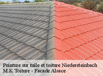 Peinture sur tuile et toiture