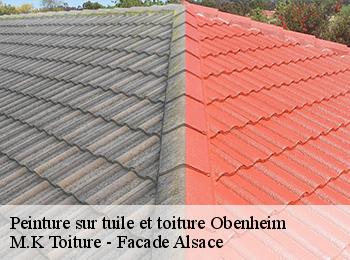 Peinture sur tuile et toiture