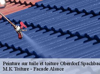 Peinture sur tuile et toiture  oberdorf-spachbach-67360 M.K Toiture - Facade Alsace